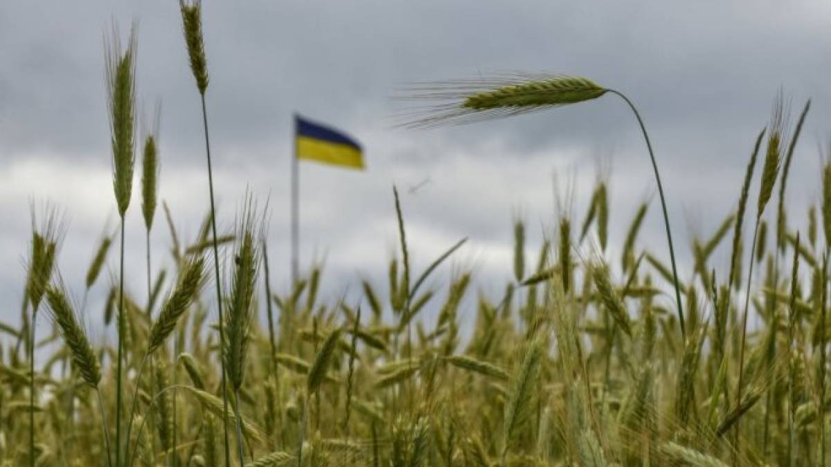 Латвія може допомогти Україні перевозити зерно залізницею