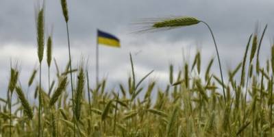 Латвія може допомогти Україні перевозити зерно залізницею