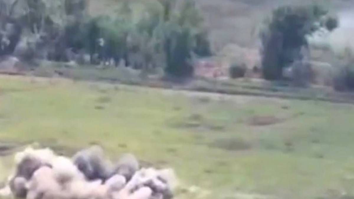 У Нацгвардії розповіли, в якому моральному стані перебуває ворог на Запорізькому напрямку