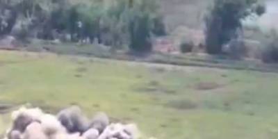 У Нацгвардії розповіли, в якому моральному стані перебуває ворог на Запорізькому напрямку