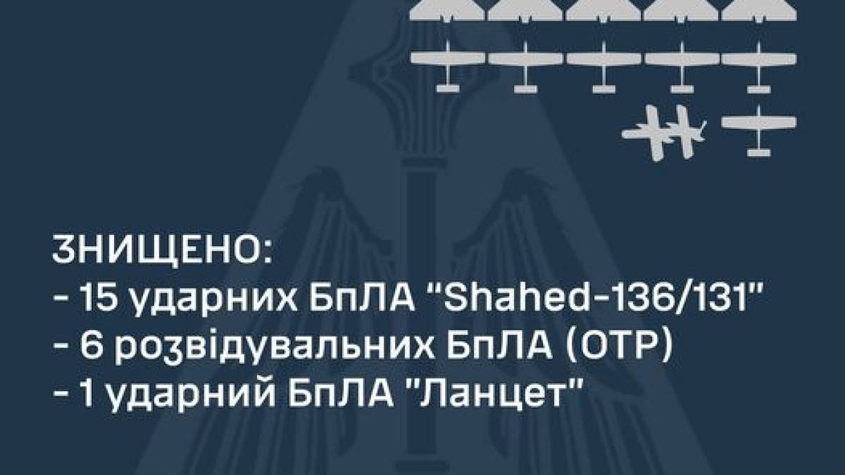 В Запорожской области Силы обороны сбили вражеский дрон-камикадзе