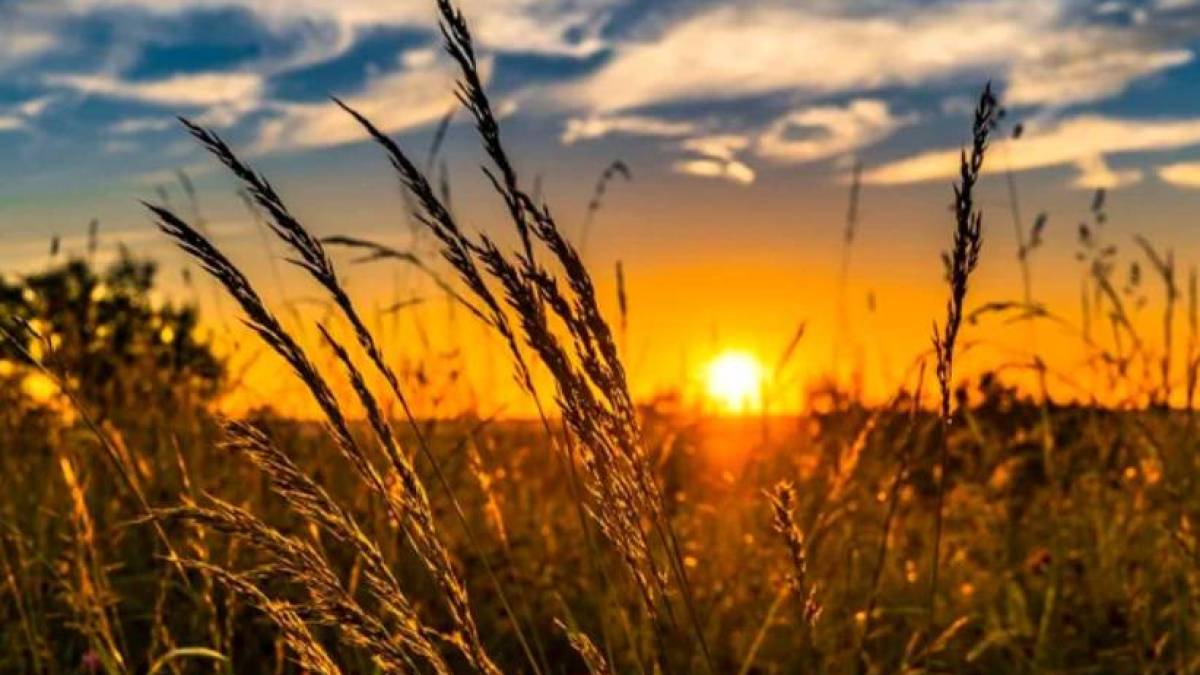 На початку тижня ще збережеться спекотна погода, але на підході –  повітряна скандинавська маса