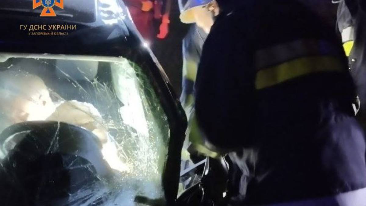 У Запоріжжі водій легковика на повній швидкості влетів у стовб