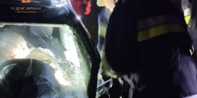 У Запоріжжі водій легковика на повній швидкості влетів у стовб
