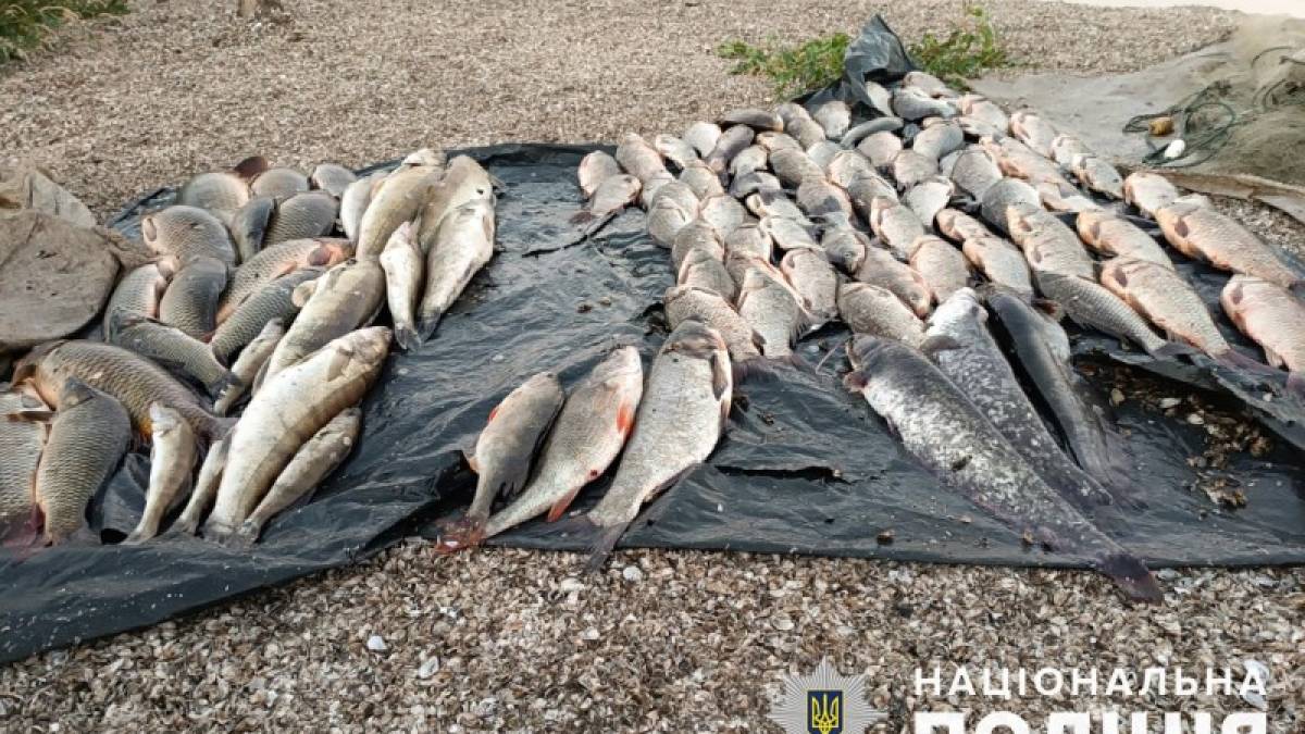 На Запоріжжі затримали браконьєрів, які сітками наловили риби на 220 тисяч гривень – фото