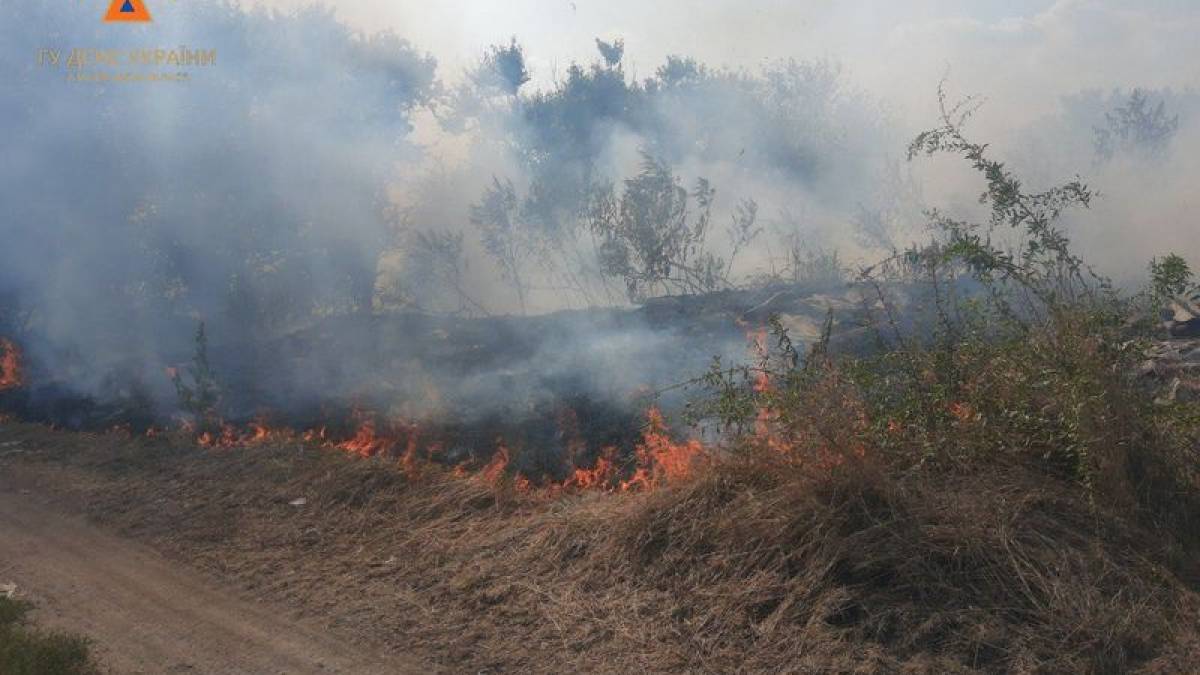 На Запоріжжі після ворожих обстрілів рятувальники гасили пожежі та знищували залишки снарядів від «Граду»