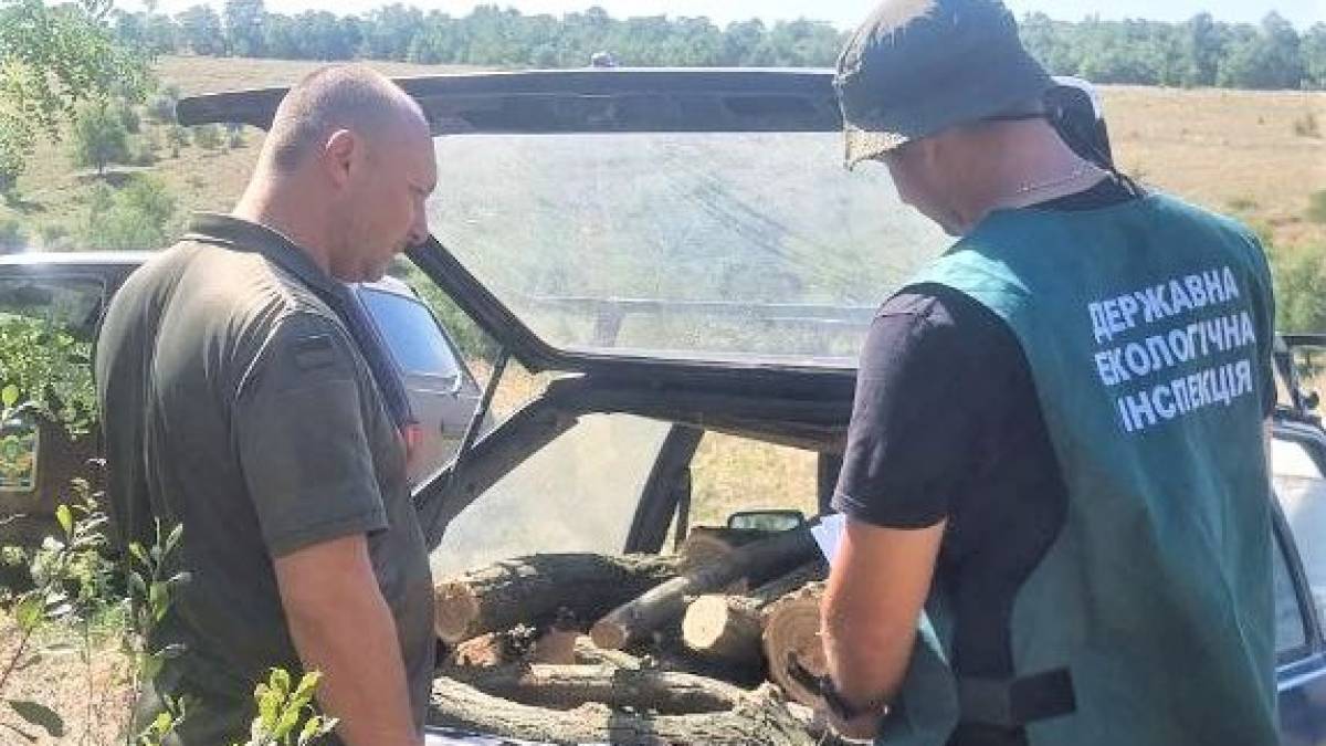У Запорізькому районі незаконно знищували дерева