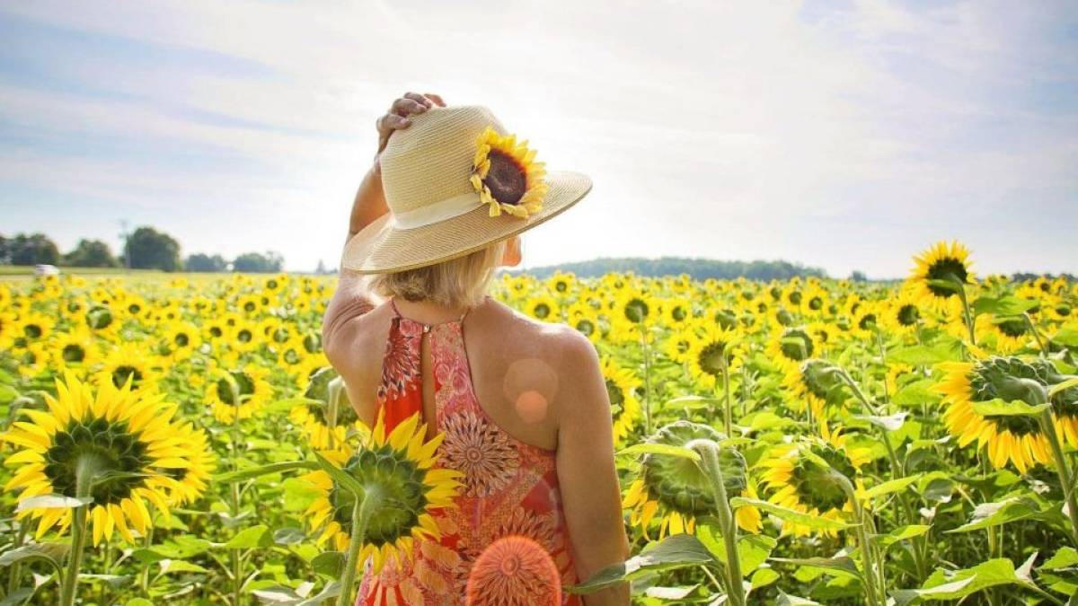 Якою буде погода в Запоріжжі в останні літні вихідні 26-27 серпня: прогноз синоптиків