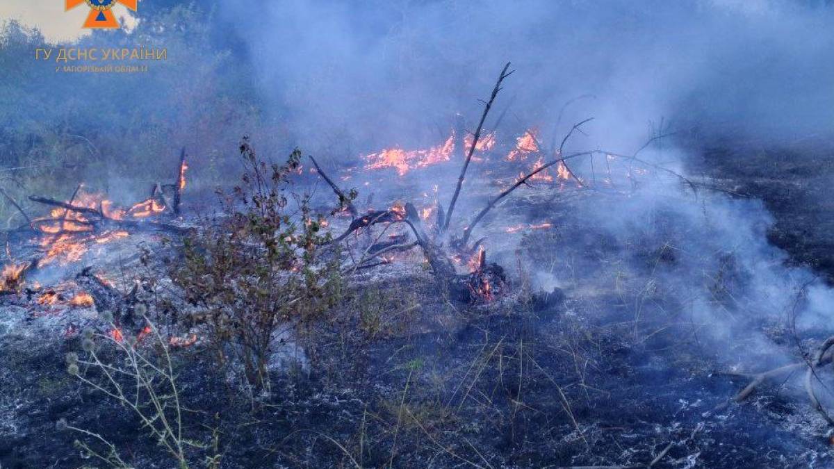 Запорізькі рятувальники за добу ліквідували 7 пожеж на полях та в лісі – фото
