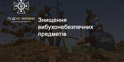 Фахівці ДСНС вилучили вибухонебезпечні предмети часів минулих війн