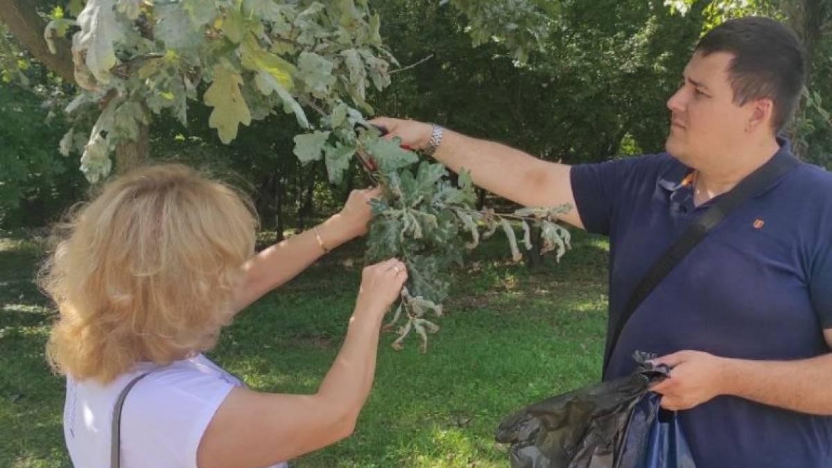 На Запоріжжі запроваджено карантинні режими по амброзії та іншим шкідливим організмам