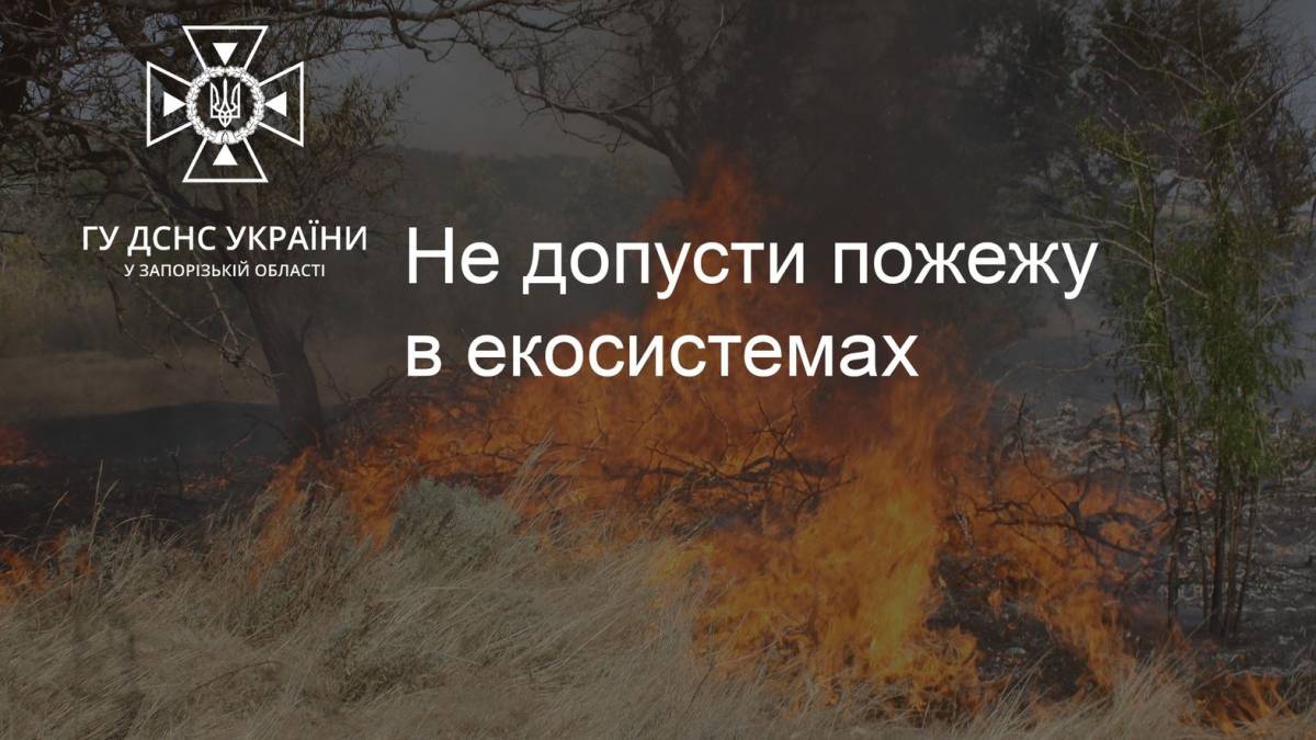 Запорізькі рятувальники ліквідували 10 пожеж в екосистемах
