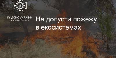Запорізькі рятувальники ліквідували 10 пожеж в екосистемах