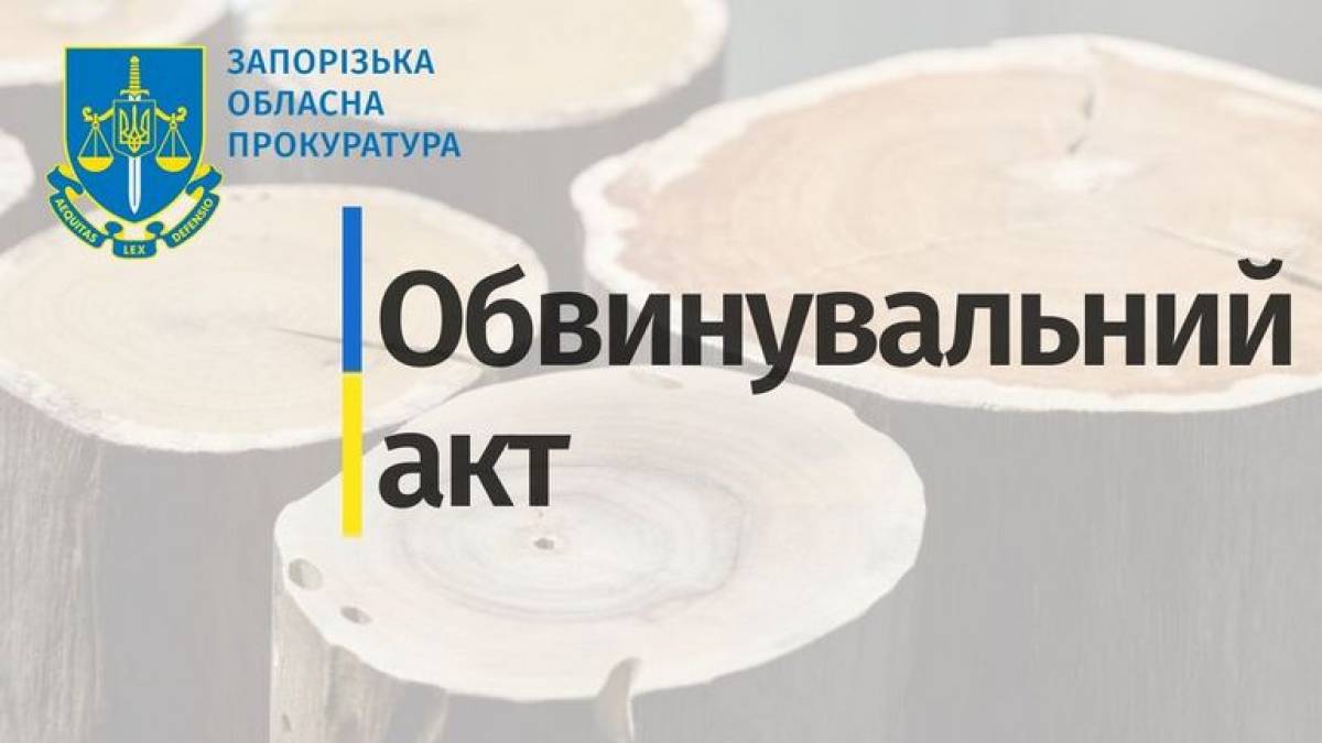 Браконьєри зрубали на Запоріжжі півсотні кленів
