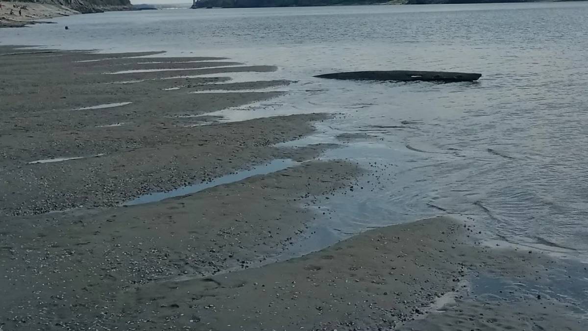 Нова знахідка у Запоріжжі: з Дніпра дістали фрагмент човна, якому до 300 років