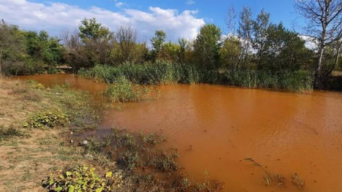 Вторгнення рф завдало збитків українському довкіллю на суму понад 57 мільярдів доларів