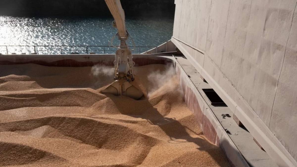 ЄС скасував обмеження на експорт українського зерна та іншої аграрної продукції