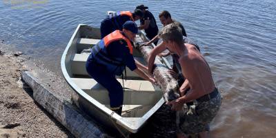 Запорізькі водолази з ДСНС допомогають рятувати історичні знахідки з острова Хортиця – фото