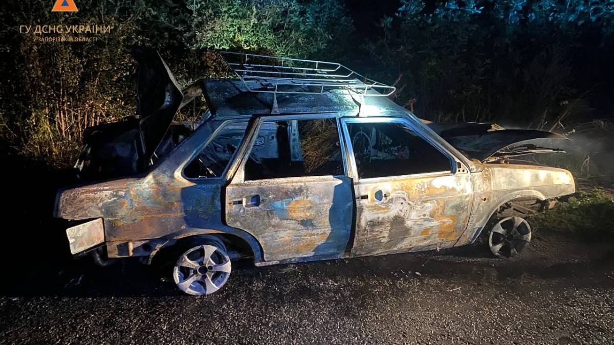 У Запорізькому районі після зіткнення з коровою загорілася автівка