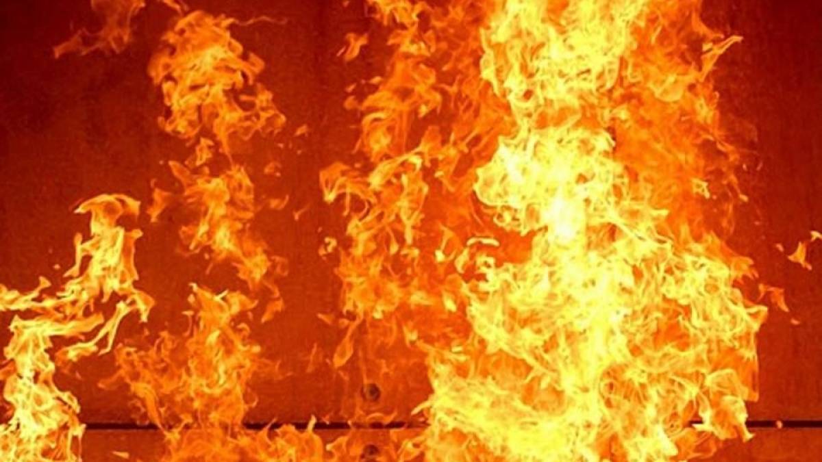 У Запоріжжі 25 рятувальників гасили масштабну пожежу – відео