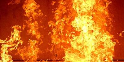 У Запоріжжі 25 рятувальників гасили масштабну пожежу – відео