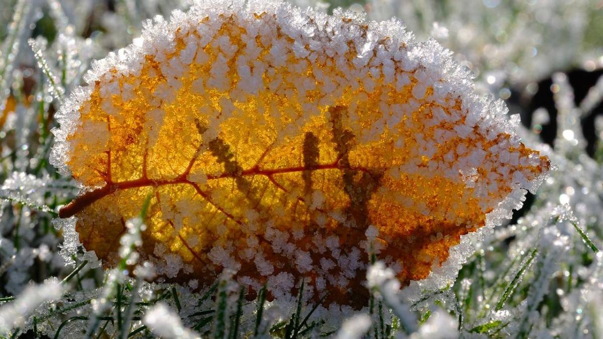 Чи буде сніг в Україні у жовтні, знає синоптик