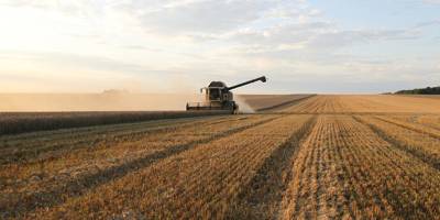 В Україні намолочено 41,7 млн тонн зернових та олійних культур