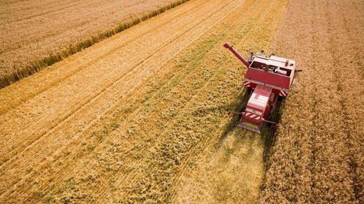 Експорт України через «Шляхи солідарності» досягнув 53 млн тонн