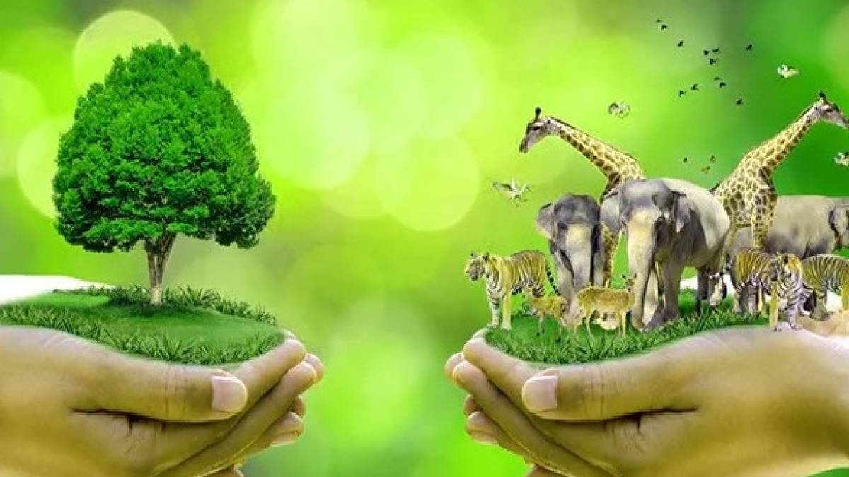 6 жовтня в Україні та світі – Всесвітній день охорони місць проживання