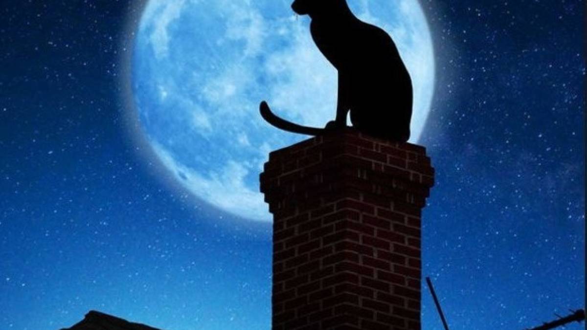 10 речей, які заборонено робити ввечері