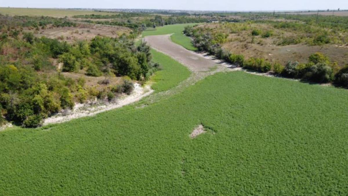 У Кабміні хочуть заборонити використання земель Каховського водосховища на 15 років
