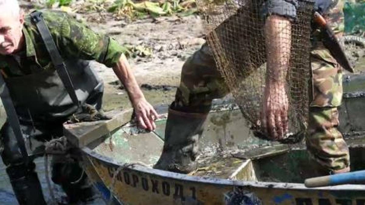 У заповіднику “Хортиця” врятували рибу, яка опинилася в “пастці” – відео