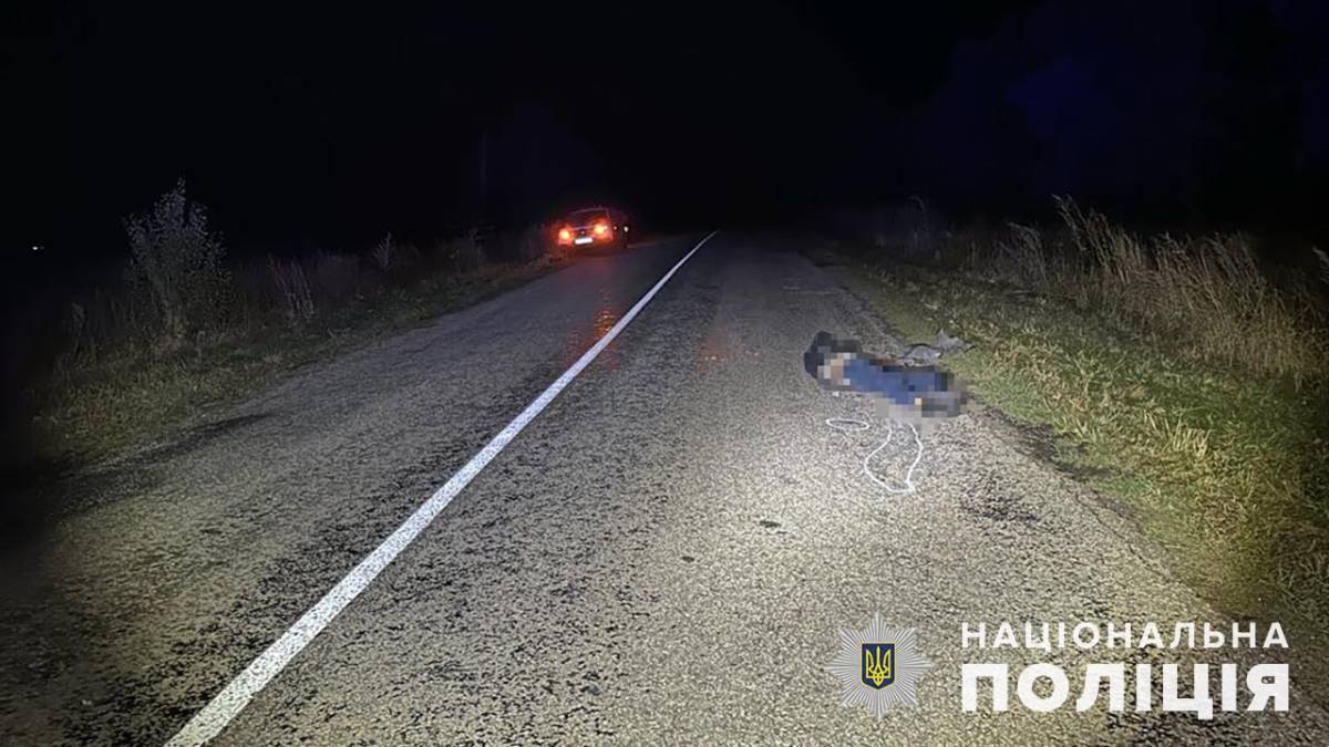 Смертельна ДТП на Запоріжжі: авто переїхало чоловіка, який лежав на дорозі