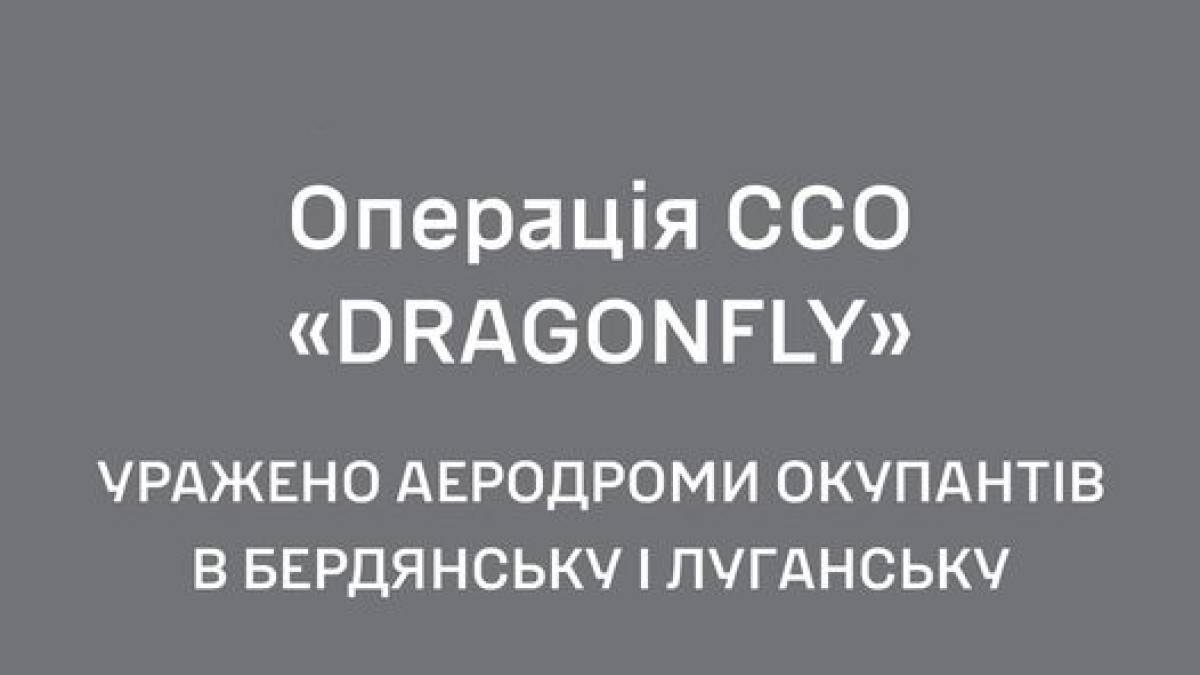 На аеродромах Бердянська й Луганська знищені 9 гелікоптерів, ППО і склад боєприпасів – ССО