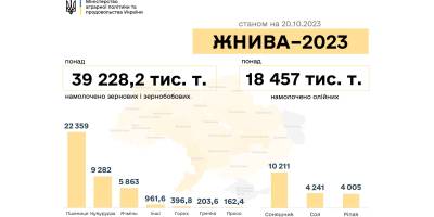 Украинские аграрии намолотили 57,6 млн тонн урожая-2023 – Минагрополитики