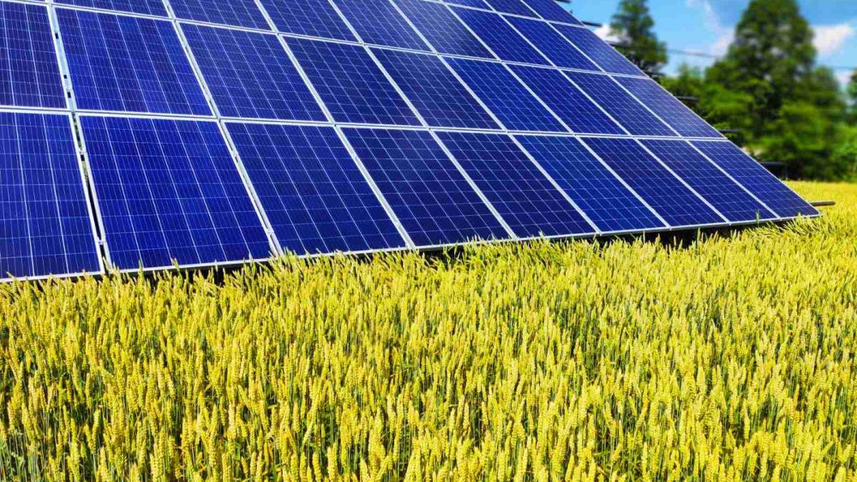 Японія надасть Україні трансформатори та сонячні панелі
