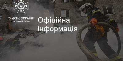 У Запорізькій області сапери знешкодили касетні елементи і залишки снаряду від РСЗВ