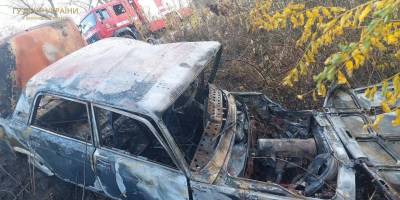 Під Запоріжжям внаслідок ДТП згоріло легкове авто – фото