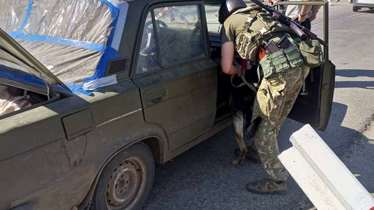 На Запорізькому напрямку шукають зброю та вибухівку кінологічні групи Нацгвардії