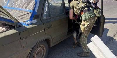 На Запорізькому напрямку шукають зброю та вибухівку кінологічні групи Нацгвардії