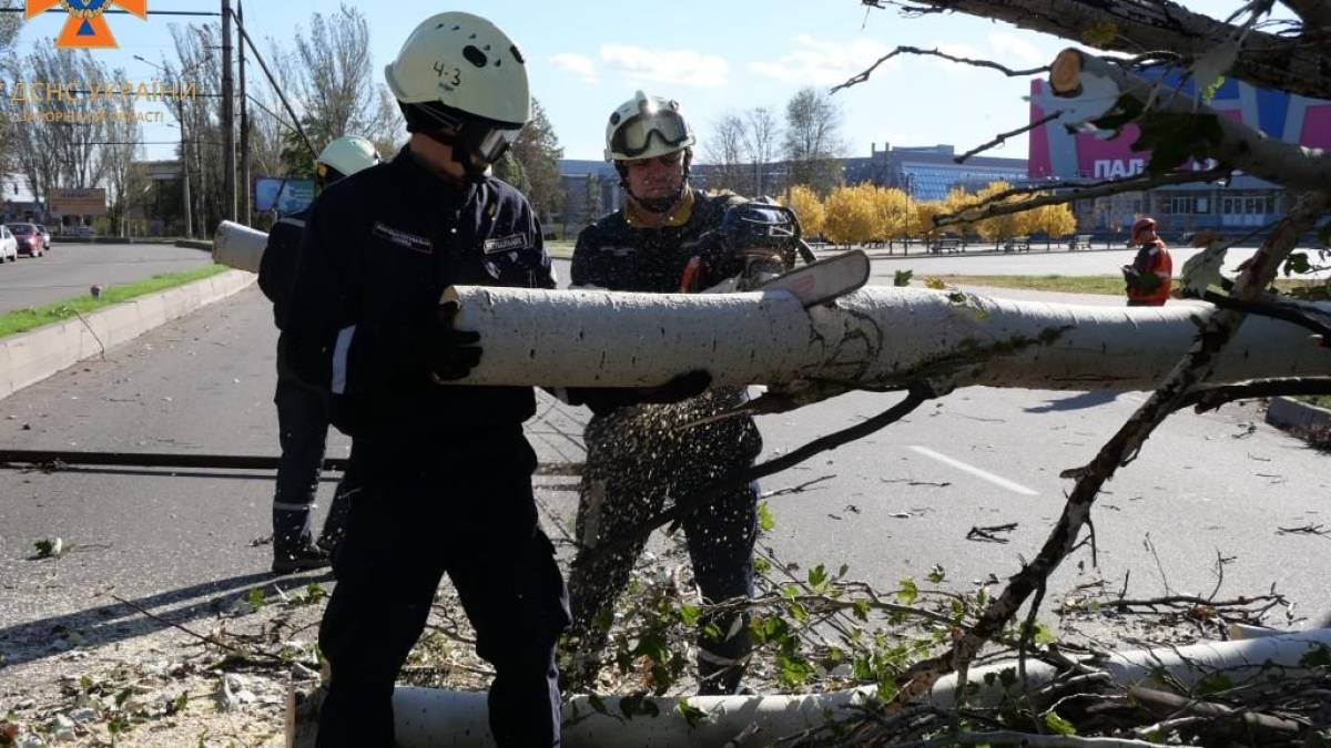 У Запоріжжі від поривів сильного вітру падають дерева – фото
