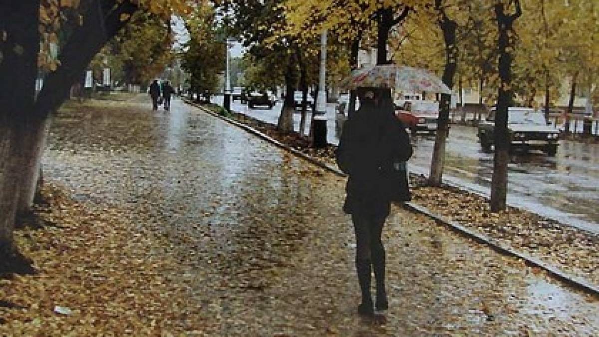 Синоптики спрогнозували погоду в Україні на листопад: стійкі морози та сніг малоймовірні