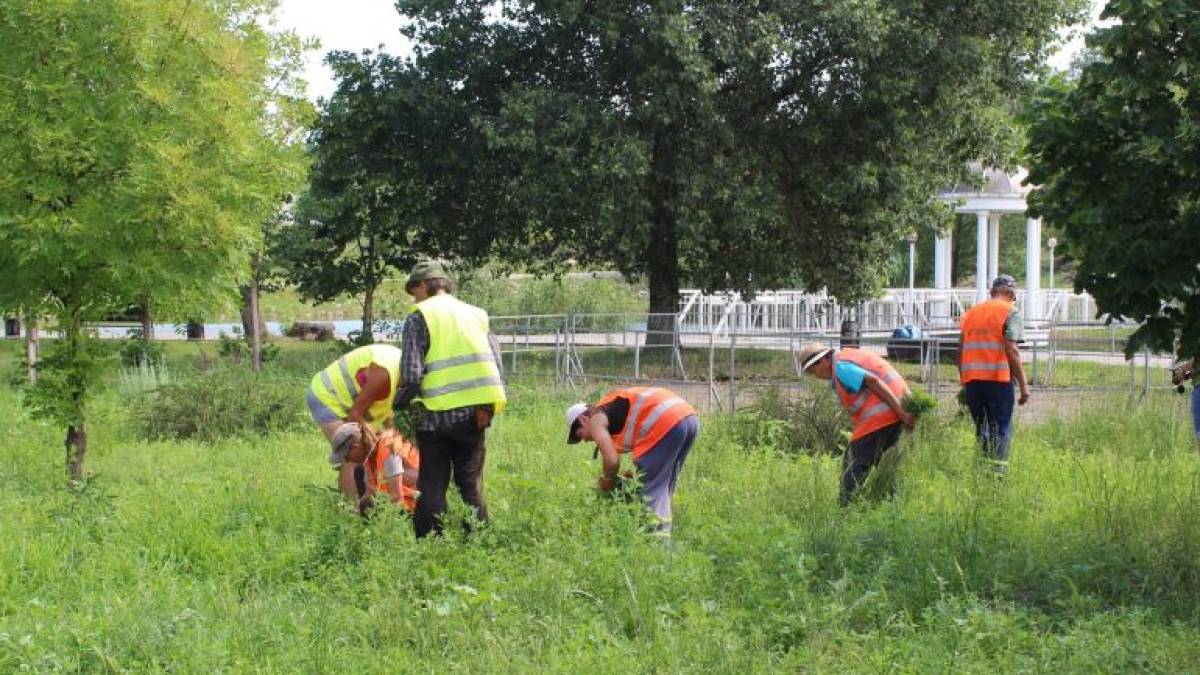 У Запоріжжі обговорили  питання підвищення ефективності боротьби з карантинними рослинами
