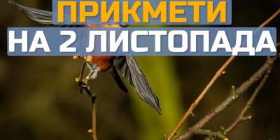 Народне свято 2 листопада: помоліться за військових і остерігайтеся вовків