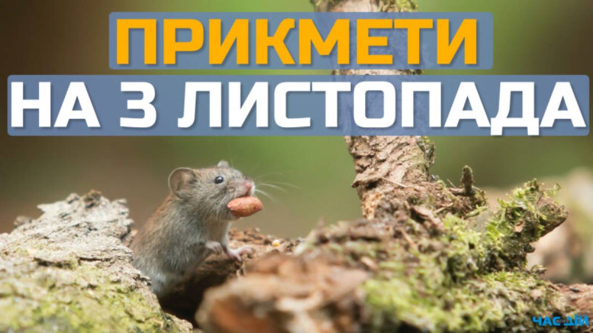 Народне свято 3 листопада: традиції, прикмети, дозволи та заборони дня