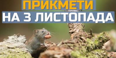 Народне свято 3 листопада: традиції, прикмети, дозволи та заборони дня