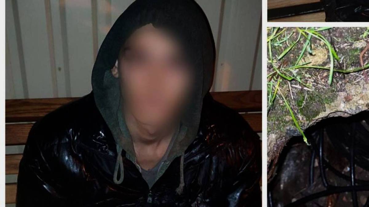Поліцейські затримали крадіїв кабелю