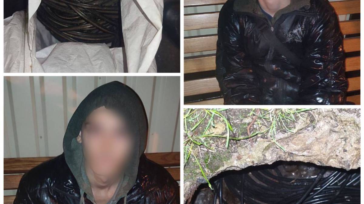 Мешканка Запоріжжя допомогла поліції затримати крадіїв