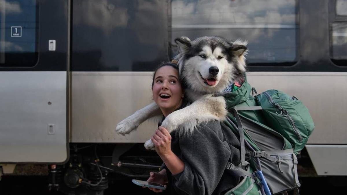 Українська фоторепортерка поділилася знімками собаки-переселенця та його нової хазяйки