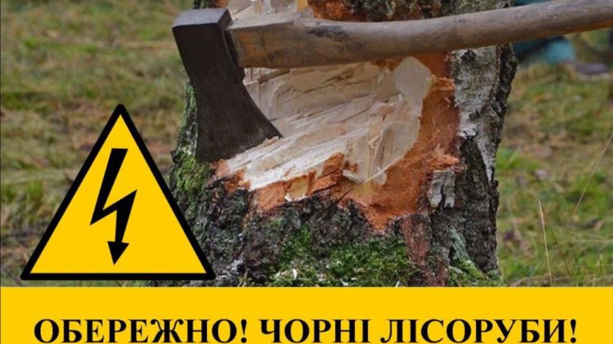 На Запоріжжі знов затримано громадянина за знищенням дерев